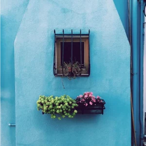 Reja de forja para ventanas de chalets, comunidades y negocios